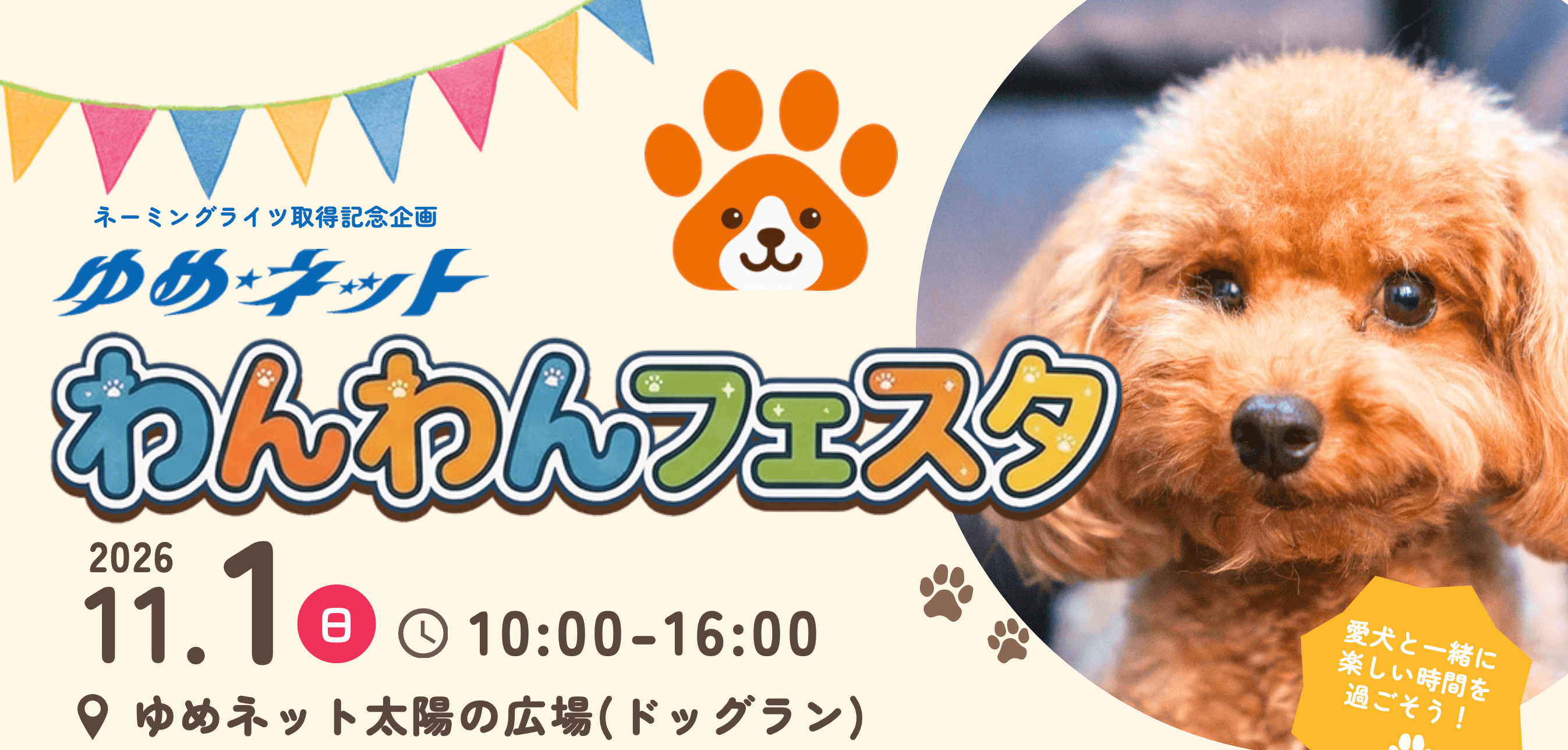 わんわんフェスタ,11月1日,日曜日,10時0分から16時0分まで,ゆめネット太陽の広場のドッグランで開催