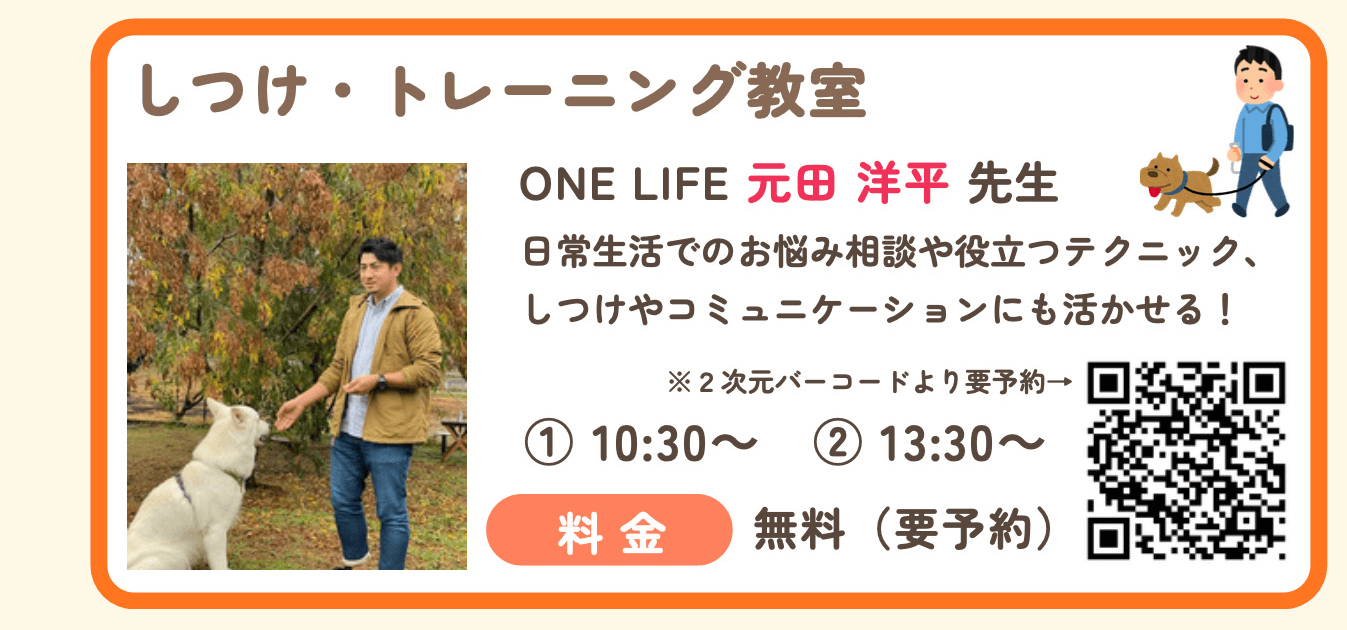しつけ・トレーニング教室,1回目10時30分から,2回目13時30分から,料金無料,要予約